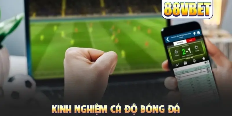 Kinh nghiệm cá độ bóng đá