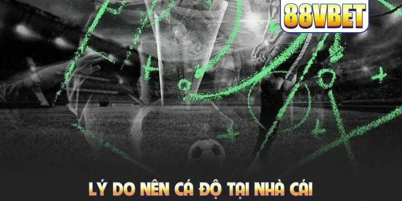 Lý do nên cá độ tại nhà cái